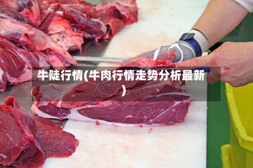 牛陡行情(牛肉行情走势分析最新)-第2张图片