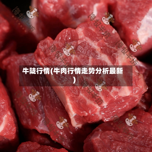 牛陡行情(牛肉行情走势分析最新)