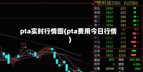 pta实时行情图(pta费用今日行情)-第3张图片