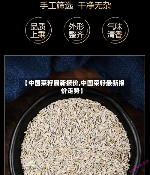 【中国菜籽最新报价,中国菜籽最新报价走势】