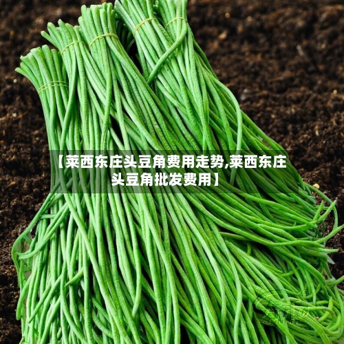 【莱西东庄头豆角费用走势,莱西东庄头豆角批发费用】-第2张图片