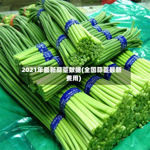 2021年最新蒜薹数据(全国蒜薹最新费用)