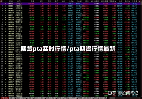 期货pta实时行情/pta期货行情最新