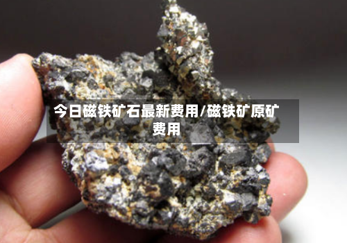今日磁铁矿石最新费用/磁铁矿原矿费用-第3张图片