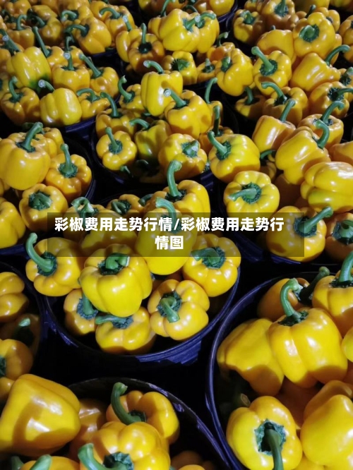 彩椒费用走势行情/彩椒费用走势行情图-第2张图片