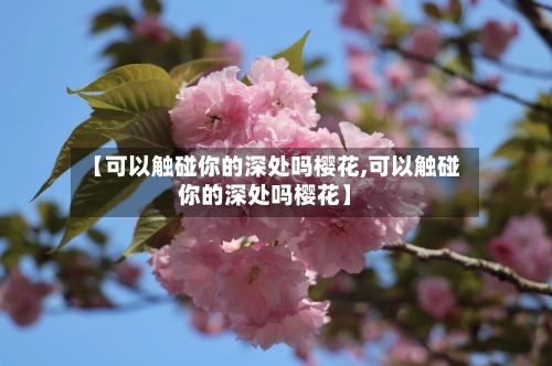 【可以触碰你的深处吗樱花,可以触碰你的深处吗樱花】-第2张图片