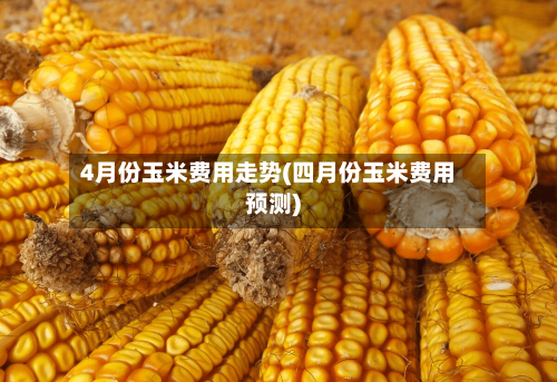4月份玉米费用走势(四月份玉米费用预测)-第2张图片