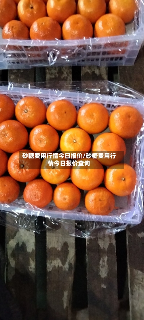 砂糖费用行情今日报价/砂糖费用行情今日报价查询-第2张图片