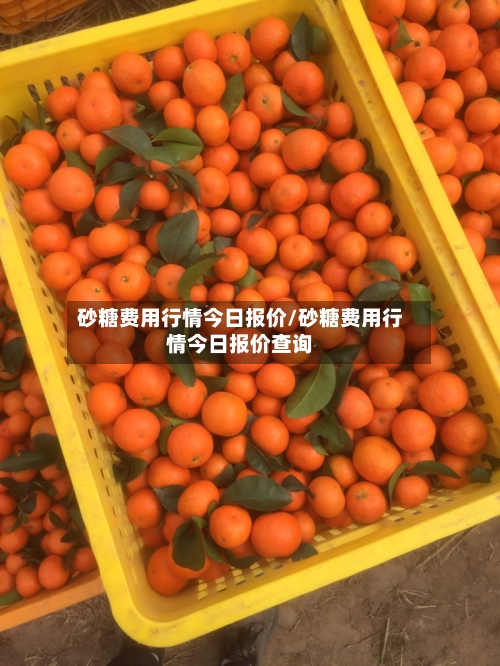 砂糖费用行情今日报价/砂糖费用行情今日报价查询
