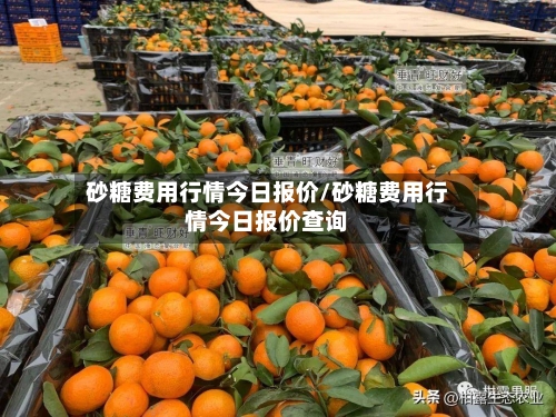 砂糖费用行情今日报价/砂糖费用行情今日报价查询-第3张图片