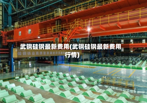 武钢硅钢最新费用(武钢硅钢最新费用行情)