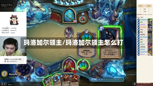 玛洛加尔领主/玛洛加尔领主怎么打-第2张图片