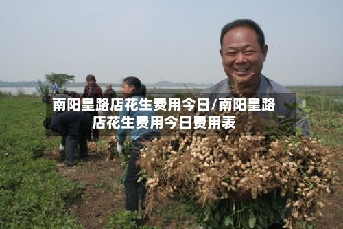 南阳皇路店花生费用今日/南阳皇路店花生费用今日费用表