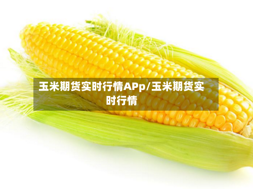 玉米期货实时行情APp/玉米期货实时行情