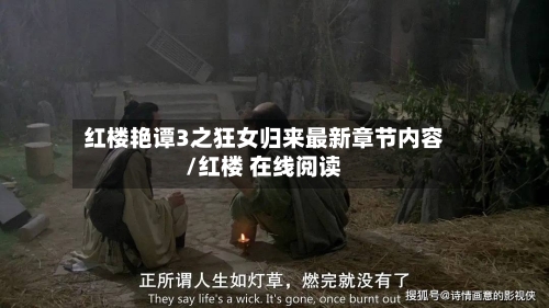 红楼艳谭3之狂女归来最新章节内容/红楼 在线阅读