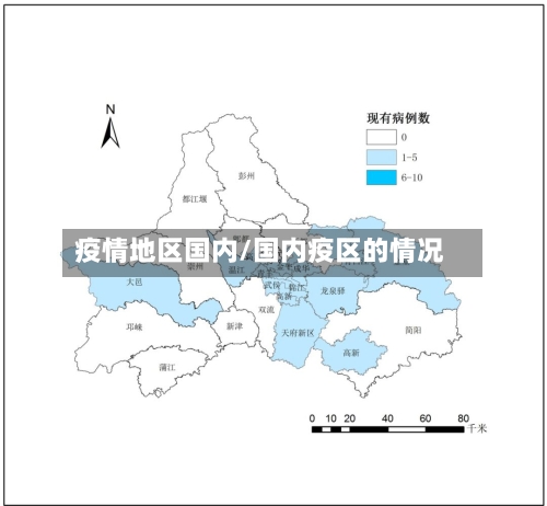 疫情地区国内/国内疫区的情况