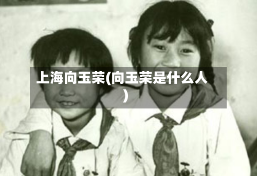 上海向玉荣(向玉荣是什么人)-第3张图片
