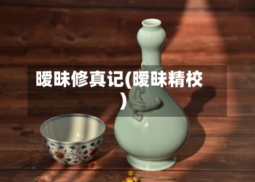 暧昧修真记(暧昧精校)