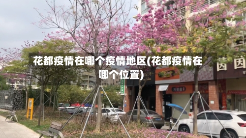 花都疫情在哪个疫情地区(花都疫情在哪个位置)-第2张图片