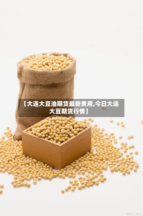 【大连大豆油期货最新费用,今日大连大豆期货行情】