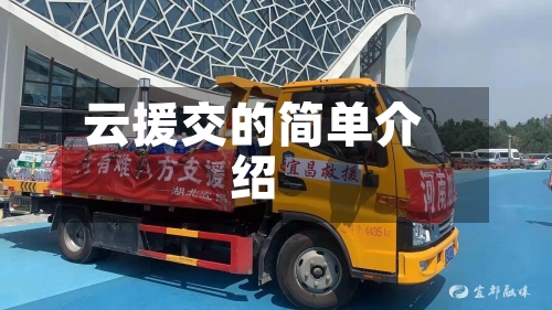 云援交的简单介绍-第3张图片