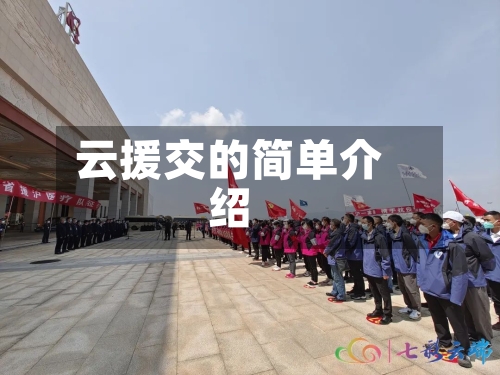 云援交的简单介绍-第2张图片
