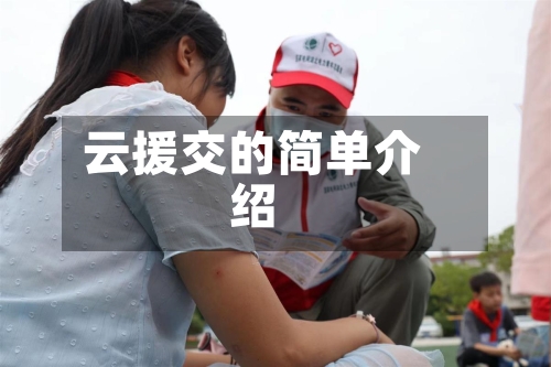 云援交的简单介绍