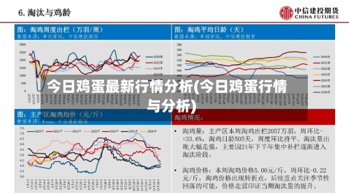 今日鸡蛋最新行情分析(今日鸡蛋行情与分析)-第3张图片