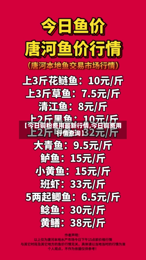 【今日铜粉费用最新行情,今日铜费用行情查询】-第3张图片