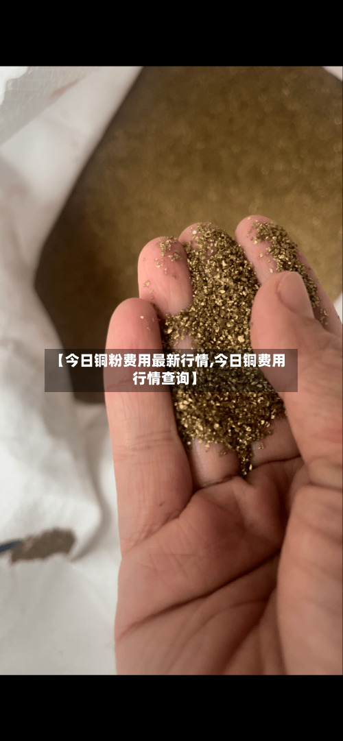 【今日铜粉费用最新行情,今日铜费用行情查询】-第2张图片