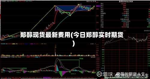郑醇现货最新费用(今日郑醇实时期货)
