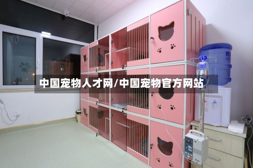 中国宠物人才网/中国宠物官方网站
