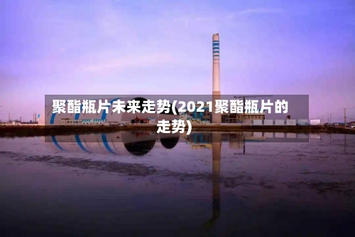 聚酯瓶片未来走势(2021聚酯瓶片的走势)-第3张图片