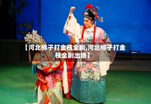 【河北梆子打金枝全剧,河北梆子打金枝全剧出场】