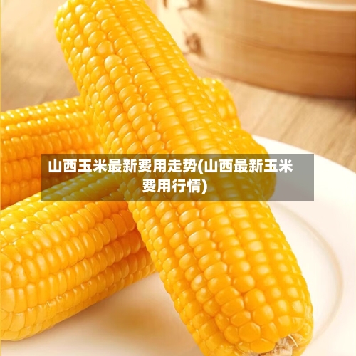 山西玉米最新费用走势(山西最新玉米费用行情)-第3张图片