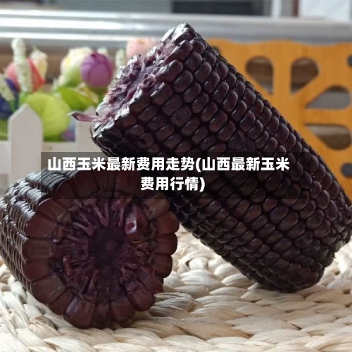 山西玉米最新费用走势(山西最新玉米费用行情)-第2张图片