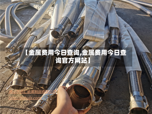 【金属费用今日查询,金属费用今日查询官方网站】-第2张图片
