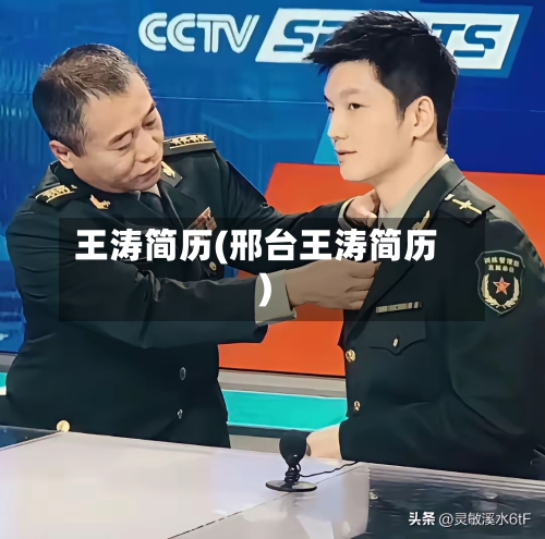 王涛简历(邢台王涛简历)