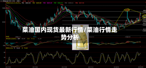 菜油国内现货最新行情/菜油行情走势分析-第2张图片