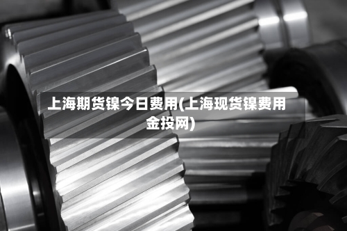 上海期货镍今日费用(上海现货镍费用金投网)