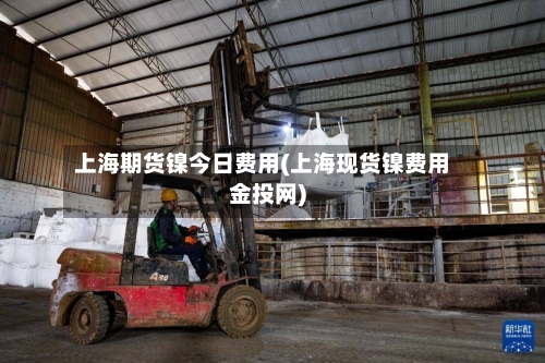 上海期货镍今日费用(上海现货镍费用金投网)-第3张图片