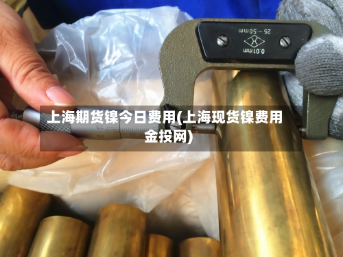 上海期货镍今日费用(上海现货镍费用金投网)-第2张图片