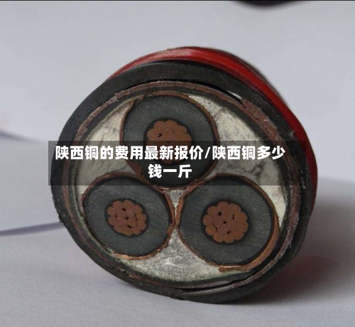 陕西铜的费用最新报价/陕西铜多少钱一斤
