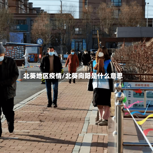 北葵地区疫情/北葵向阳是什么意思-第2张图片