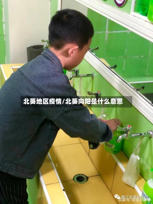 北葵地区疫情/北葵向阳是什么意思