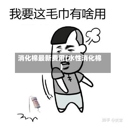 消化棉最新费用(水性消化棉)-第3张图片