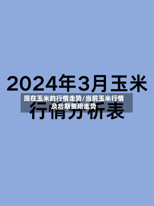 现在玉米的行情走势/当前玉米行情及后期费用走势