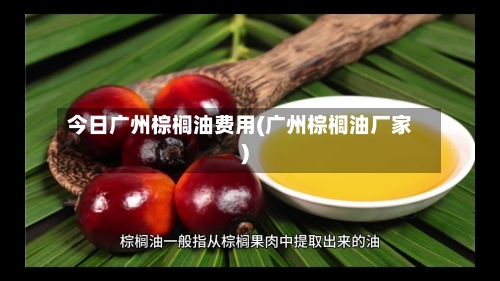 今日广州棕榈油费用(广州棕榈油厂家)