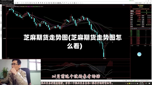 芝麻期货走势图(芝麻期货走势图怎么看)-第3张图片