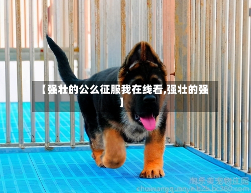 【强壮的公么征服我在线看,强壮的强】-第3张图片